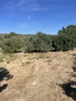 Projet de construction d'une maison avec terrain - Istres (13) - Groupe Mas Provence