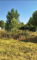 Terrain &agrave; b&acirc;tir - Caromb (84) - Mas Provence
