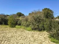 Terrain &agrave; b&acirc;tir - Ch&acirc;teauneuf-de-Gadagne (84) - Mas Provence