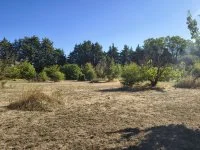 Terrain &agrave; b&acirc;tir - L'Isle-sur-la-Sorgue (84) - Mas Provence