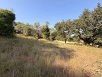 Terrain &agrave; b&acirc;tir - Mougins (6) - Mas Provence