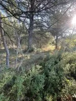 Terrain &agrave; b&acirc;tir - Lambesc (13) - Mas Provence