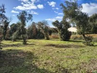 Projet de construction d'une maison avec terrain - Aigaliers (30) - Groupe Mas Provence
